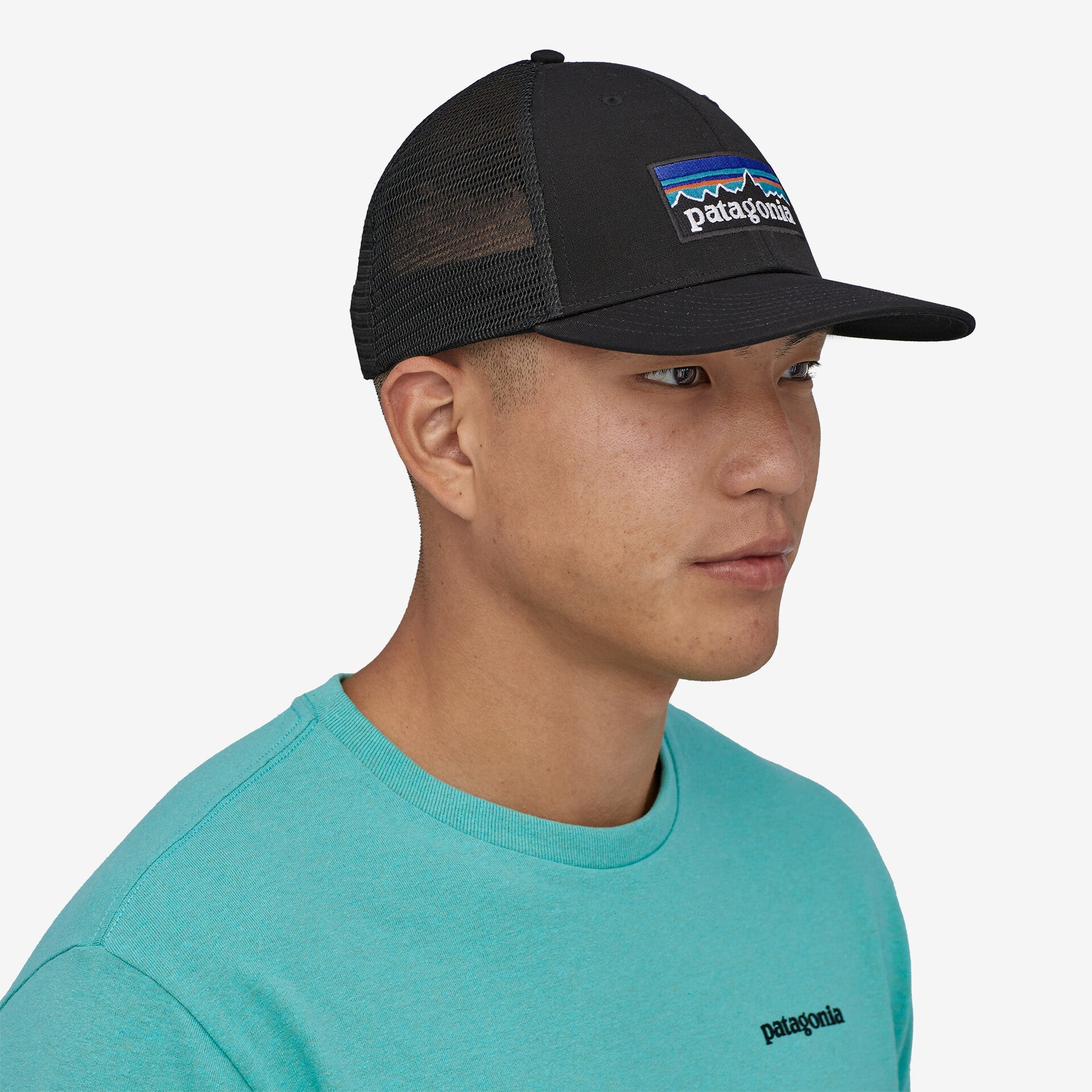 Patagonia cepure P-6 Logo LoPro Trucker Cepures