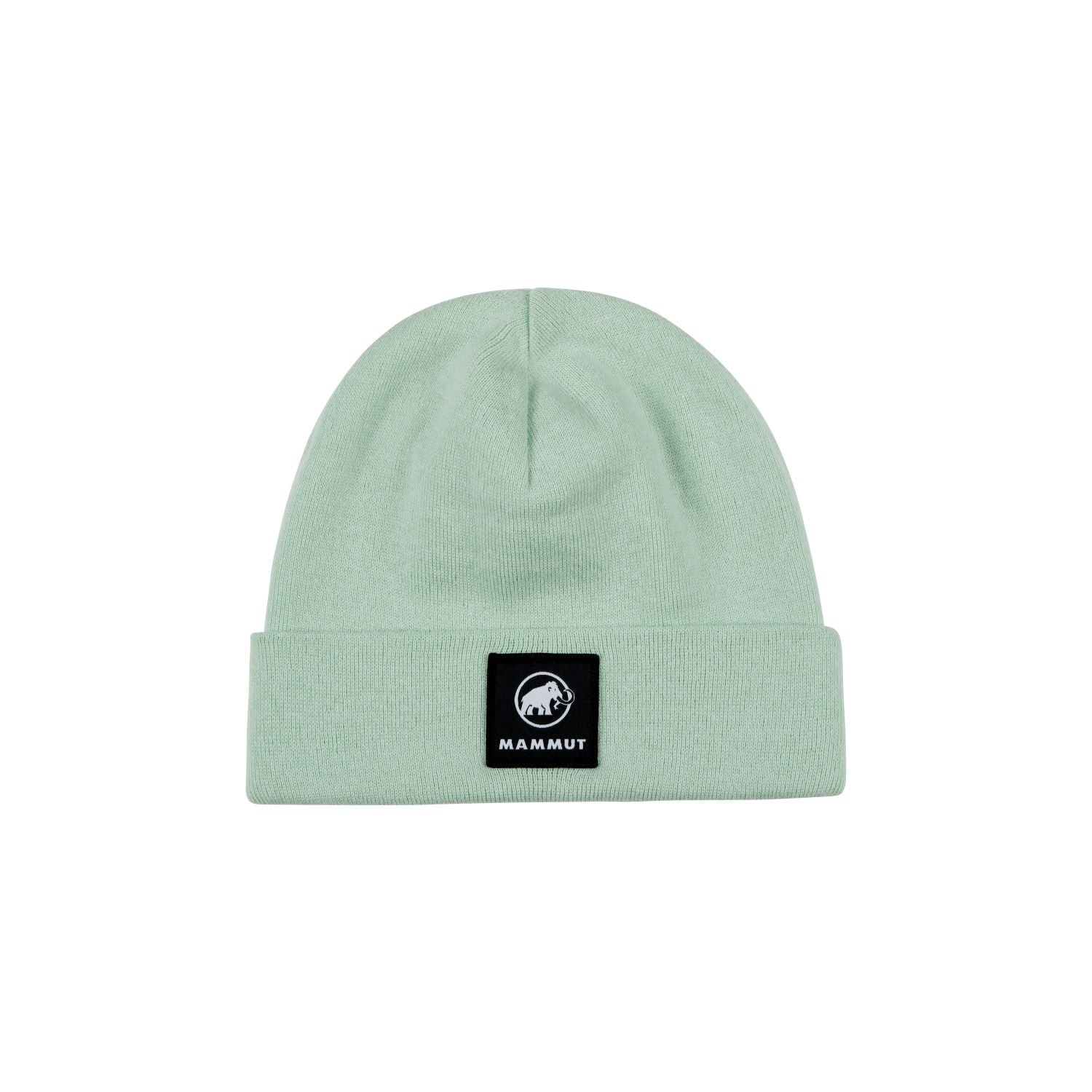 Cepure Mammut Fedoz Beanie Neo mint Cepures